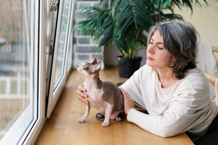 Pets Charity’s Latest Initiatives for Animal Well-being!